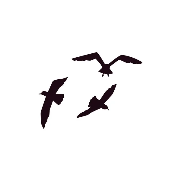 Conjunto aislado vectorial o bandada de siluetas de gaviotas voladoras en el cielo. — Archivo Imágenes Vectoriales