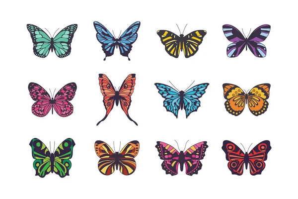 Conjunto de mariposas de dibujos animados aisladas sobre fondo blanco. Hermosos insectos — Archivo Imágenes Vectoriales