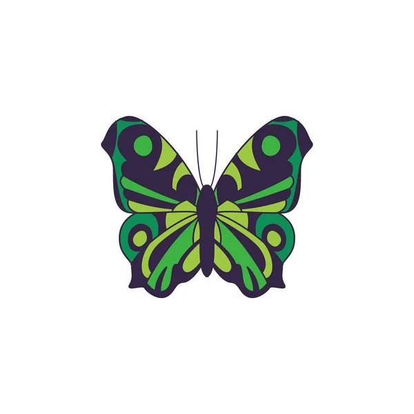 Papillon noir avec motif vert sur les ailes une illustration vectorielle isolée — Image vectorielle