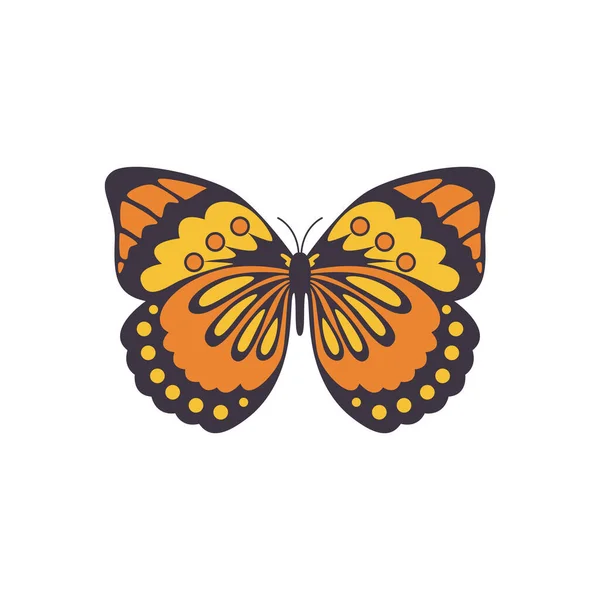 Mariposa de mahaon grande con alas adornadas ilustración plana vector de dibujos animados aislado. — Archivo Imágenes Vectoriales