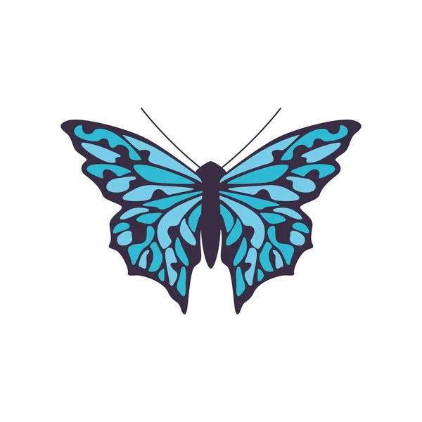Jednoduchý černý motýl s modrým vzorem na křídlech a izolovaným vektorovým znázorněním — Stockový vektor