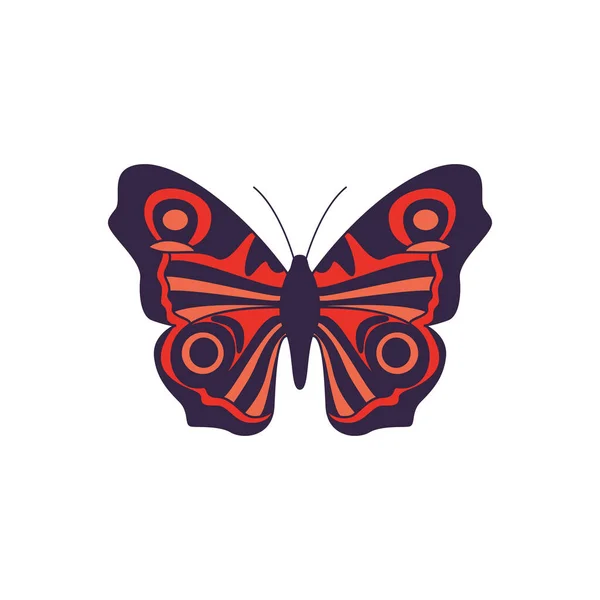 Όμορφη πεταλούδα με πορτοκαλί φτερά επίπεδη απεικόνιση φορέα κινουμένων σχεδίων απομονωμένη. — Διανυσματικό Αρχείο