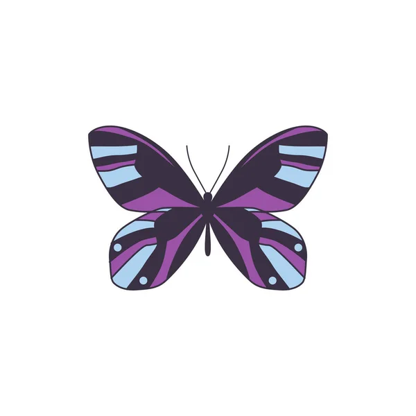 Vlinder met spreid paarse vleugels symbool, vlakke vector illustratie geïsoleerd. — Stockvector