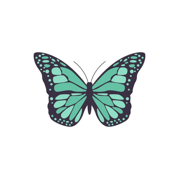 Ilustração vetorial de borboleta preta com padrão azul simétrico em asas —  Vetores de Stock
