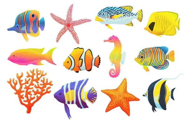 Koleksi warna-warni akuarium tropis gambar vektor datar ikan terisolasi. - Stok Vektor