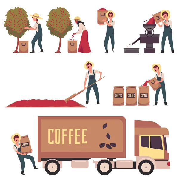 Stadia van de productie van koffie een set vector geïsoleerde illustraties. — Stockvector