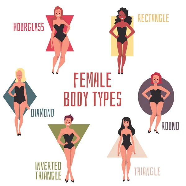 Типи жіночих форм тіла - мультиплікаційний плакат з жінками в купальниках — стоковий вектор
