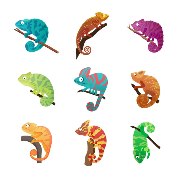 Set bunglon kadal dengan berbagai warna, gambar vektor datar terisolasi. - Stok Vektor