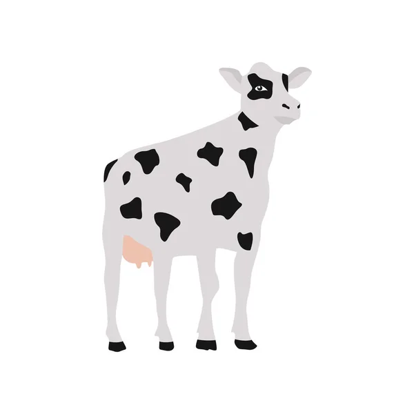 Vector απομονωμένη απεικόνιση μιας ασπρόμαυρης αγελάδας με βούλες. — Διανυσματικό Αρχείο
