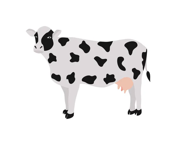 Schwarz-weiß gefleckte Kuh für den landwirtschaftlichen Betrieb ein Vektor isolierte Illustration — Stockvektor