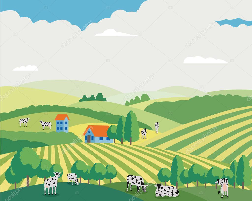 Cartoon cows grazing in summer field, summer landscape of farm animals