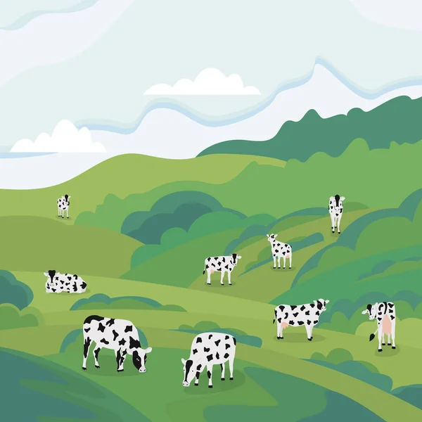 Kor äter gräs på sommarbetesmark. Grön äng — Stock vektor