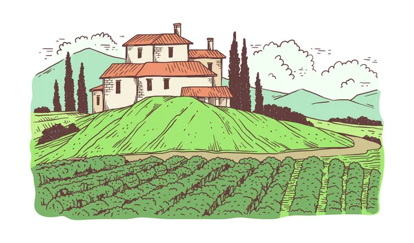 Paisaje rural con viñedo y casa de campo ilustración vectorial aislado. — Vector de stock