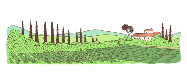 Пейзаж с деревенским домом и зелеными виноградниками векторная иллюстрация — стоковый вектор