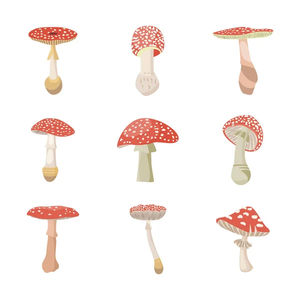 Amanita muscaria Waldpilz, Zauberfliege agaric giftiger Pilz ein Vektor Symbole — Stockvektor