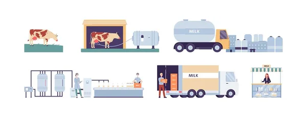 Producción y distribución de leche de vaca ilustración vectorial plana aislada. — Vector de stock