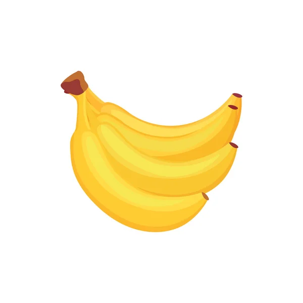 Ένα μάτσο ώριμες κίτρινες τροπικές μπανάνες επίπεδη διανυσματική απεικόνιση απομονωμένη. — Διανυσματικό Αρχείο