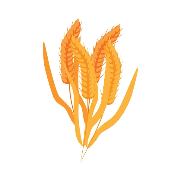 小麦植物的耳朵卡通图标或符号扁平矢量图解孤立. — 图库矢量图片