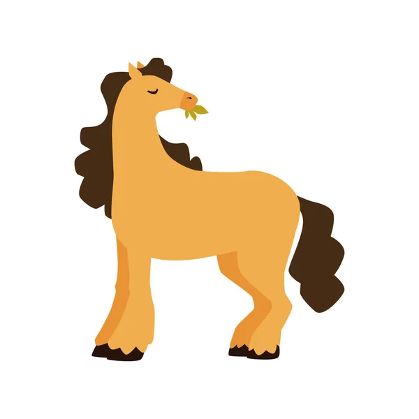 Pony caballo pura sangre está pastando, mastica hierba un vector aislado ilustración — Archivo Imágenes Vectoriales