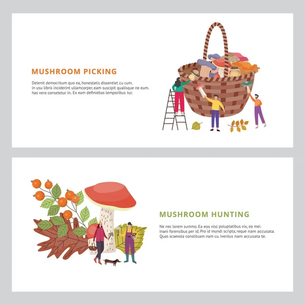 Collecting forest edible mushrooms in autumn season a vector illustration. — Stock Vector