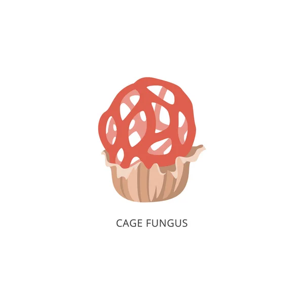 Champignon à cage rouge - rare champignon de dessin animé, isolé — Image vectorielle