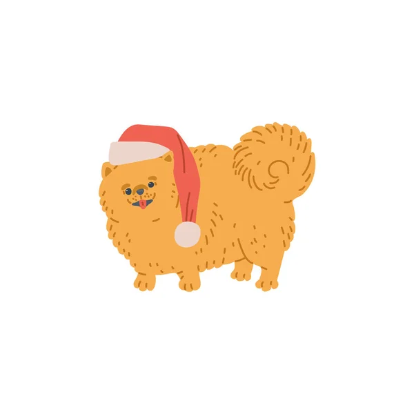 Kleine spitz hond in Kerstmis Kerstman hoed, cartoon vector illustratie geïsoleerd. — Stockvector