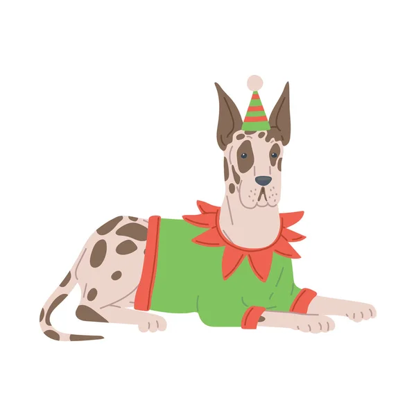 Roztomilý pes ve vánočním kroji elfa, plochý vektorový vyobrazení izolované na bílém. — Stockový vektor