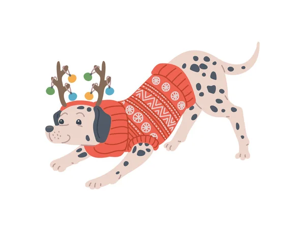 Kerst hond in rood patroon trui en herten hoorns versierd met kleur ballen — Stockvector