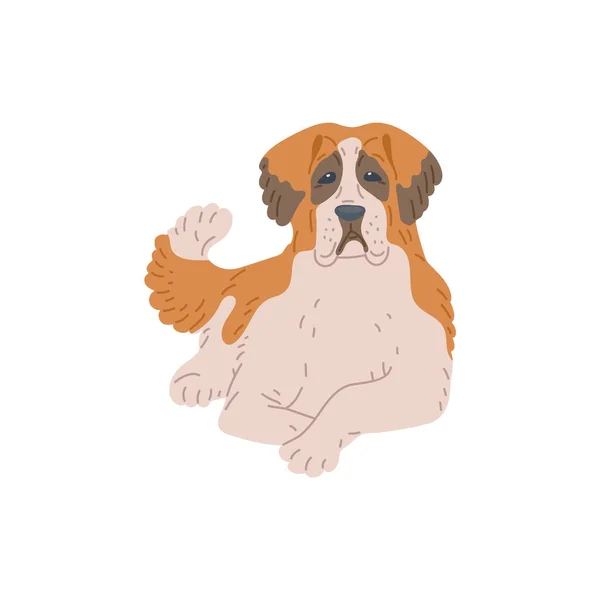 Cane di razza santo Bernardo, animale domestico, simpatico animale domestico un vettore illustrazione. — Vettoriale Stock