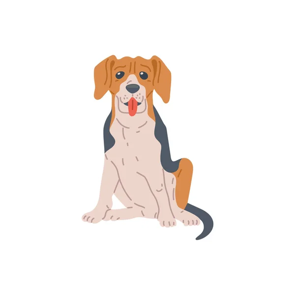 Beagle razza cane o cucciolo personaggio dei cartoni animati, piatto illustrazione vettoriale isolato. — Vettoriale Stock