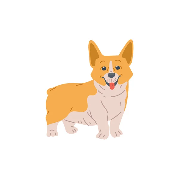 Roztomilý pes Welsh Corgi kreslený znak plochý vektor ilustrace izolované. — Stockový vektor