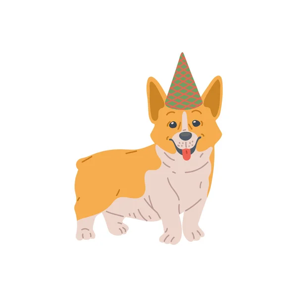 개는 pembroke welsh corgi, 휴 일 개 모자에 순종하는 애완 동물, 귀여운 동물. — 스톡 벡터