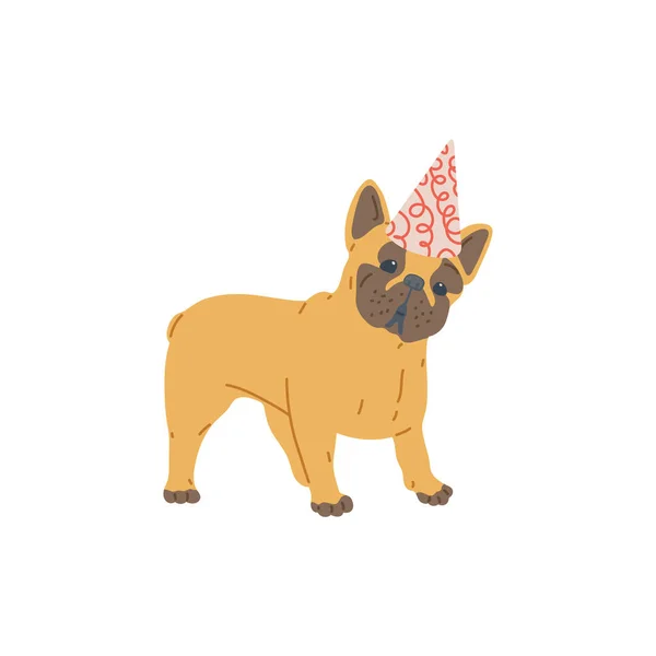 Bulldog francés en sombrero de fiesta, raza popular de mascota doméstica. — Vector de stock