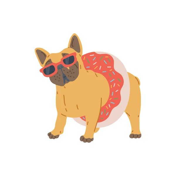 Perro pug gordo en gafas de sol y con boya salvavidas, ilustración vectorial plana aislada. — Archivo Imágenes Vectoriales