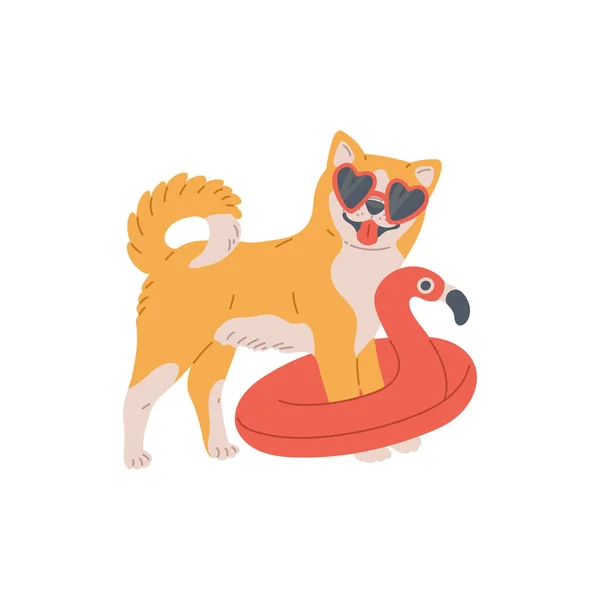 Akita inu hond met zonnebril en opblaasbare cirkel, schattig ras huisdier. — Stockvector