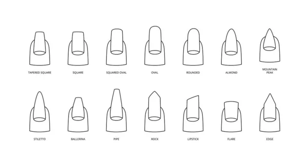 Formas de unhas em linha preta com inscrições, ilustração vetorial isolada. — Vetor de Stock