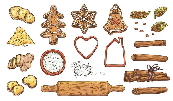 Raíz de jengibre, vainilla, galletas navideñas y pan de jengibre para santa. — Archivo Imágenes Vectoriales