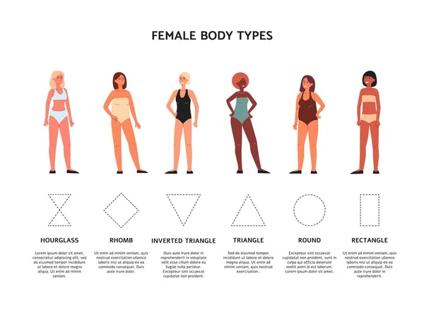 Femmes de différentes figures du corps similaires à des formes géométriques, illustration vectorielle. — Image vectorielle