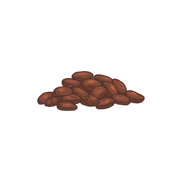 Heap av kakao frukt frön handritade gravyr vektor illustration isolerad. — Stock vektor