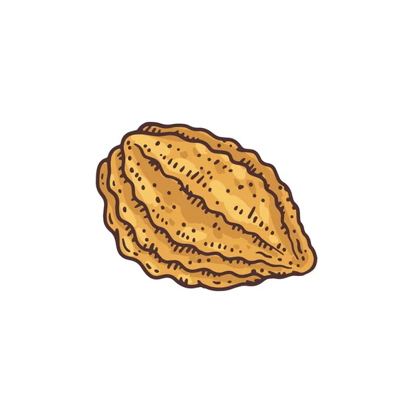 Frutos secos de cacao o frijol dibujado a mano grabado vector ilustración aislado. — Archivo Imágenes Vectoriales