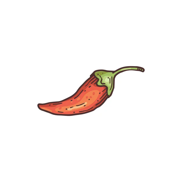 Ręcznie rysowane pod czerwony papryka chili kolor grawerowanie wektor ilustracja izolowane. — Wektor stockowy