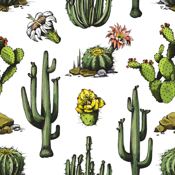 Bezešvé letní pozadí s pouštní květinový kaktus vektorové ilustrace. — Stockový vektor