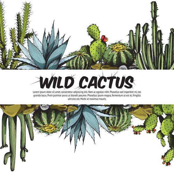 Beautiful summer banner with different types of cactus a vector illustration. — Stock Vector