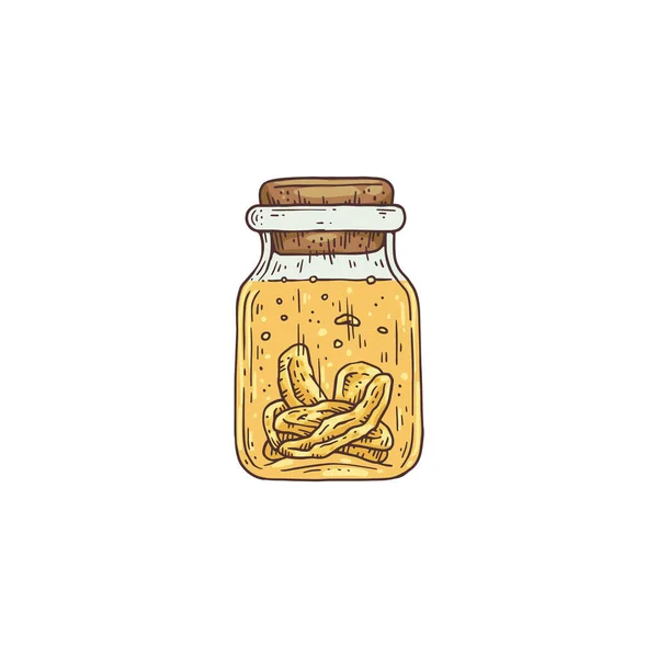 Fles met tinctuur van ginseng wortel, graveren vector illustratie geïsoleerd. — Stockvector