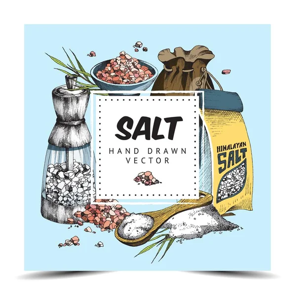 Beautiful color label with food and bath salt a vector illustration. — Stock Vector