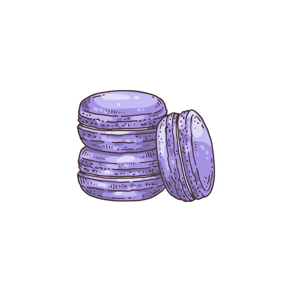 Lavendel aromatiserade makaroner cookies, handritad vektor illustration isolerad — Stock vektor