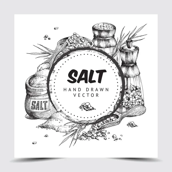 Marco de sal marina o etiqueta dibujado a mano ilustración vectorial grabado aislado. — Vector de stock