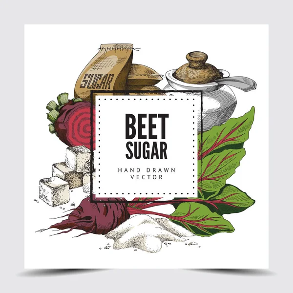 Cartel o etiqueta de vector colorido con publicidad de azúcar de remolacha alimentaria. — Vector de stock