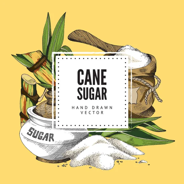 Etiket ve şeker ürünleri ile kamış şeker çerçevesi, kabartma vektör illüstrasyonu. — Stok Vektör