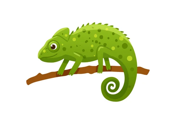 Green funny cartoon chameleon side view, flat vector illustration isolated. — Stock Vector